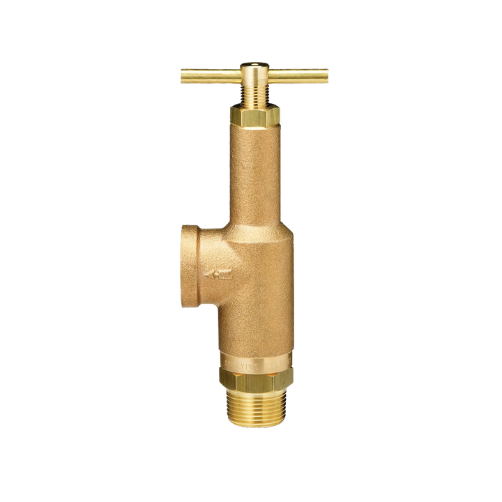 Pressure Relief Valves (Unloader)